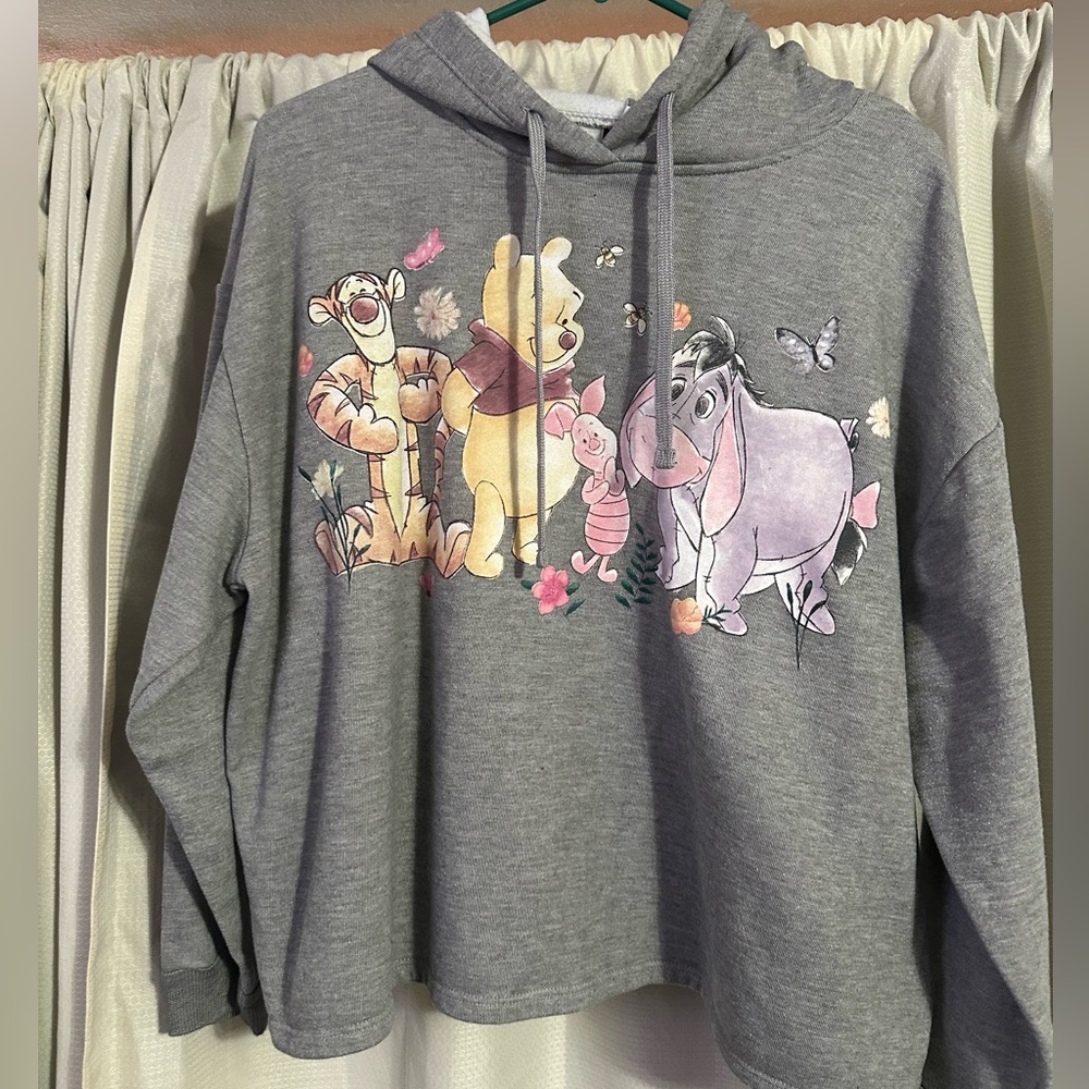 Disney Gray Hoodie with Logo